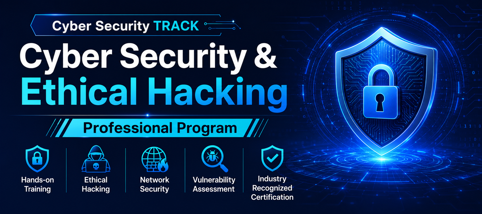 Cyber Security & Ethical Hacking Professional Program